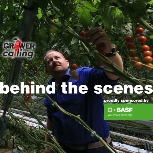 Stream John Ketler shares the hard truths of a greenhouse shutdown by