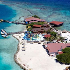 Review Special Price Aruba De Palm Island Allinclusive Day Trip With Transport