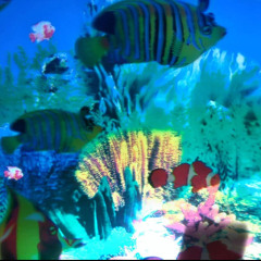 UnderWater