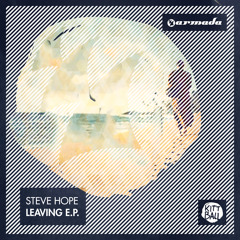 Leaving (Teenage Mutant Remix)