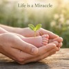 Life is a Miracle .