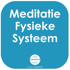 Meditatie Fysieke Systeem
