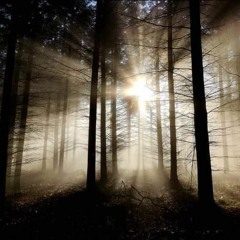 Coil - The Dreamer Is Still Asleep