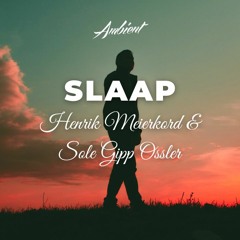 Henrik Meierkord & Sole Gipp Ossler - Slaap