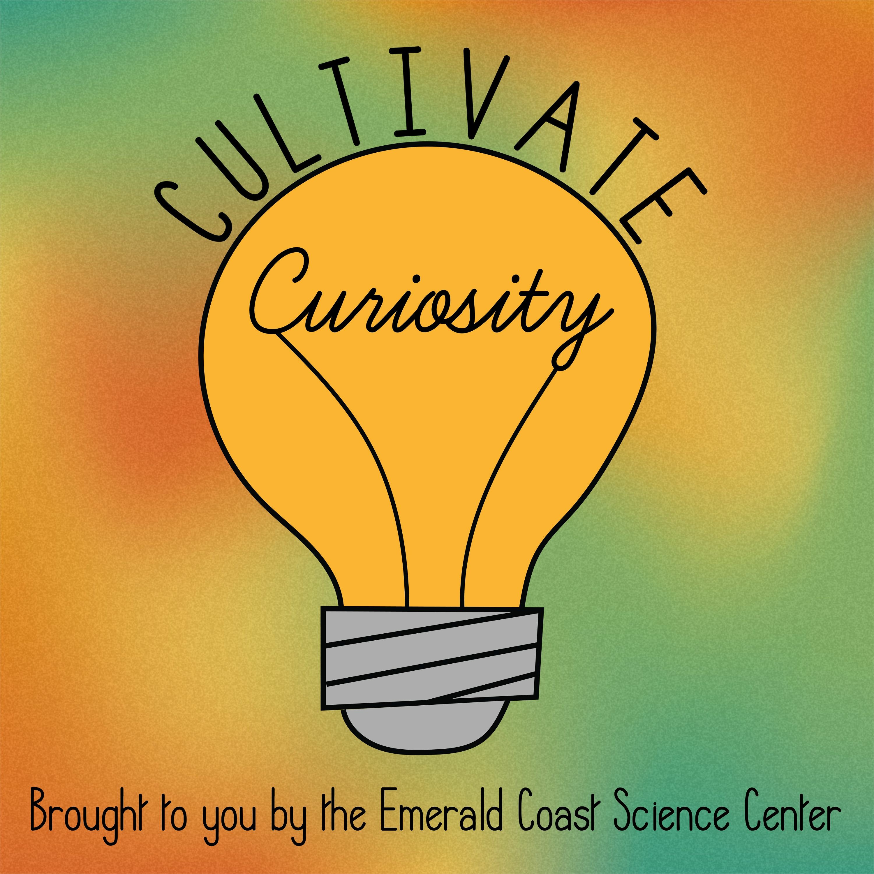Cultivate Curiosity