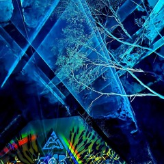 Golden Phoenix 2025 Closing Set