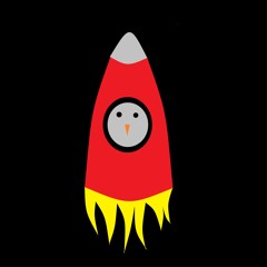 The Chicken Party That Built A Spaceship