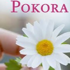 Pokora