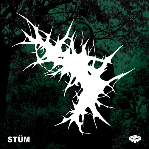 Artwork for the song Son of the Forest by STÜM on Next Sound