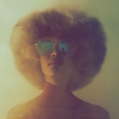 The Polish Ambassador, Time Machine Club - She's Fresh