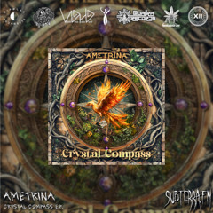 Ep. 42. Ametrina - Crystal Compass EP - subterra.fm