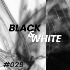 Black & White #029 - Emotional Melodic Techno & Deep Progressive Vibes