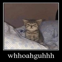 words, if yah want em