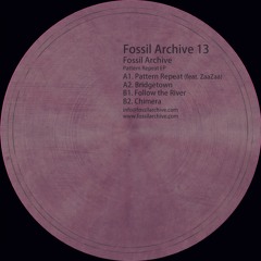 Fossil Archive 013 - Fossil Archive - Pattern Repeat Ep