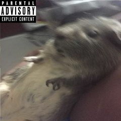 RIP Snickers (Prod by Lil swedden)