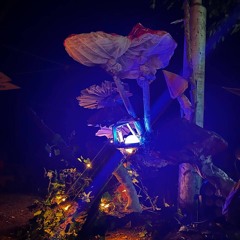 scav @ dubigxbi 2024