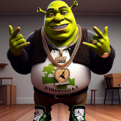 Swamp Stomp Vol. 1