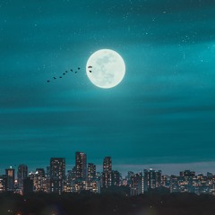 Good Night Moon