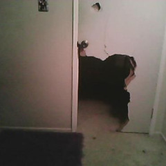 Hidin Bodies In My Basement #yyy #pbhw