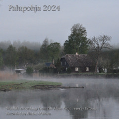4PalupohjaSpring2024