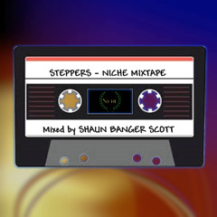 SBS Niche 30 Mixtape Vol 3 The Steppers
