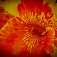 Homemix August 2024 Techhouse