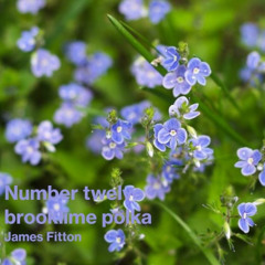 Number twelve brooklime polka