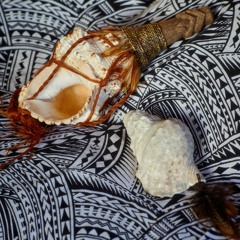 Pū & Pūtātara - Wheke Rorohiko