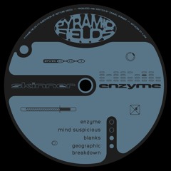 Skinner - Enzyme EP [PYR001]