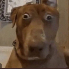 Giving Thanks mix 🦃🍁