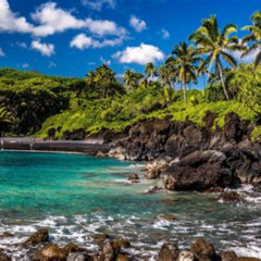 Best Things To Do And See In Maui Tours Reviews