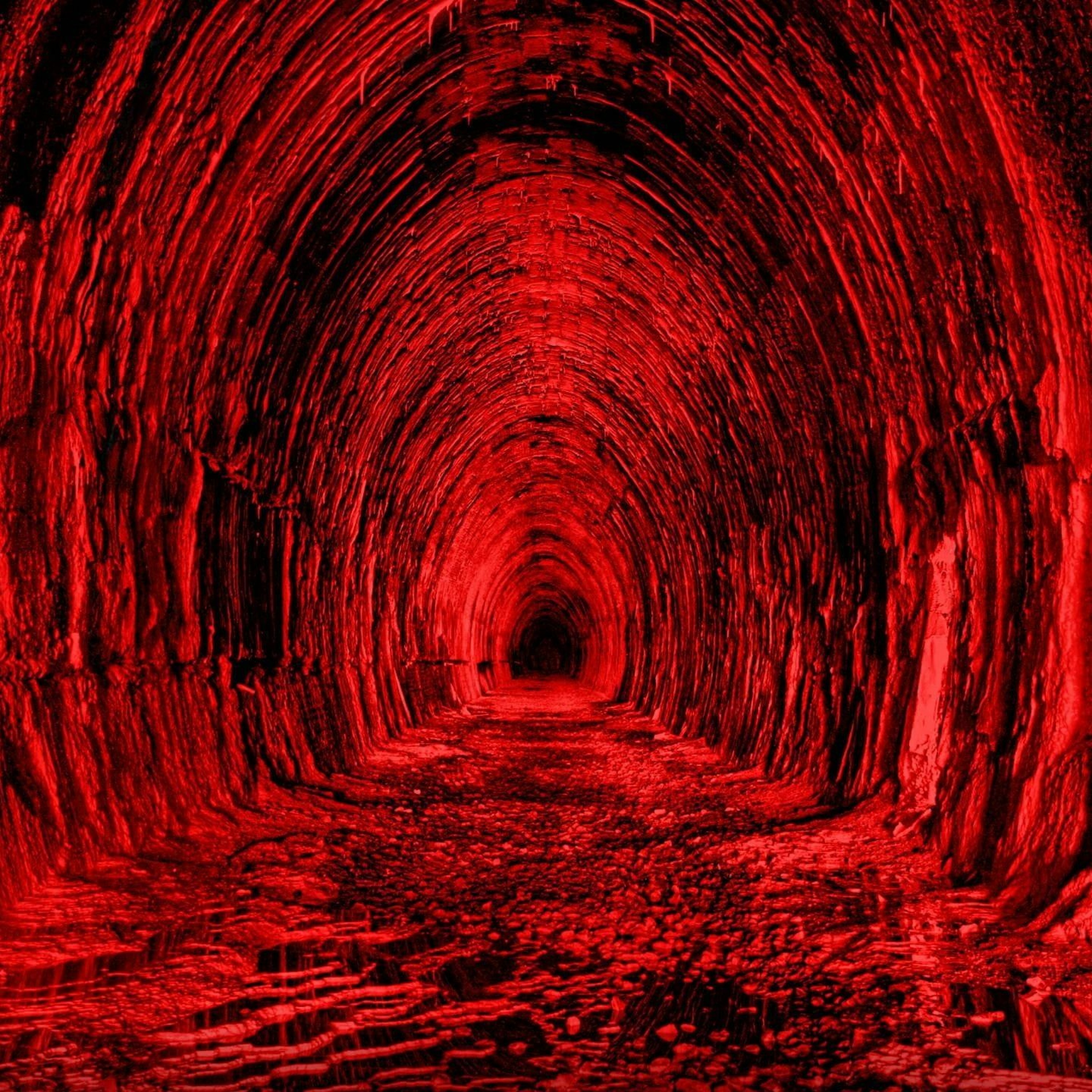 Of THe Trees X CTF - Elbow Thing episode artwork