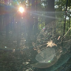 Lightshow p.(everydaysinner)