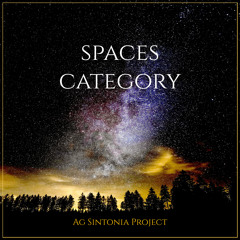 Spaces Category