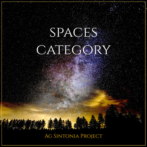 Spaces Category