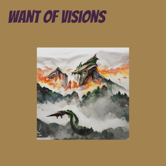 Want of Visions