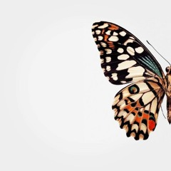 قصيدة في ليلة القدر لابن رجب الحنبلي - تولى العمر. mp3