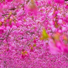 موسيقى تركية تلامس القلب