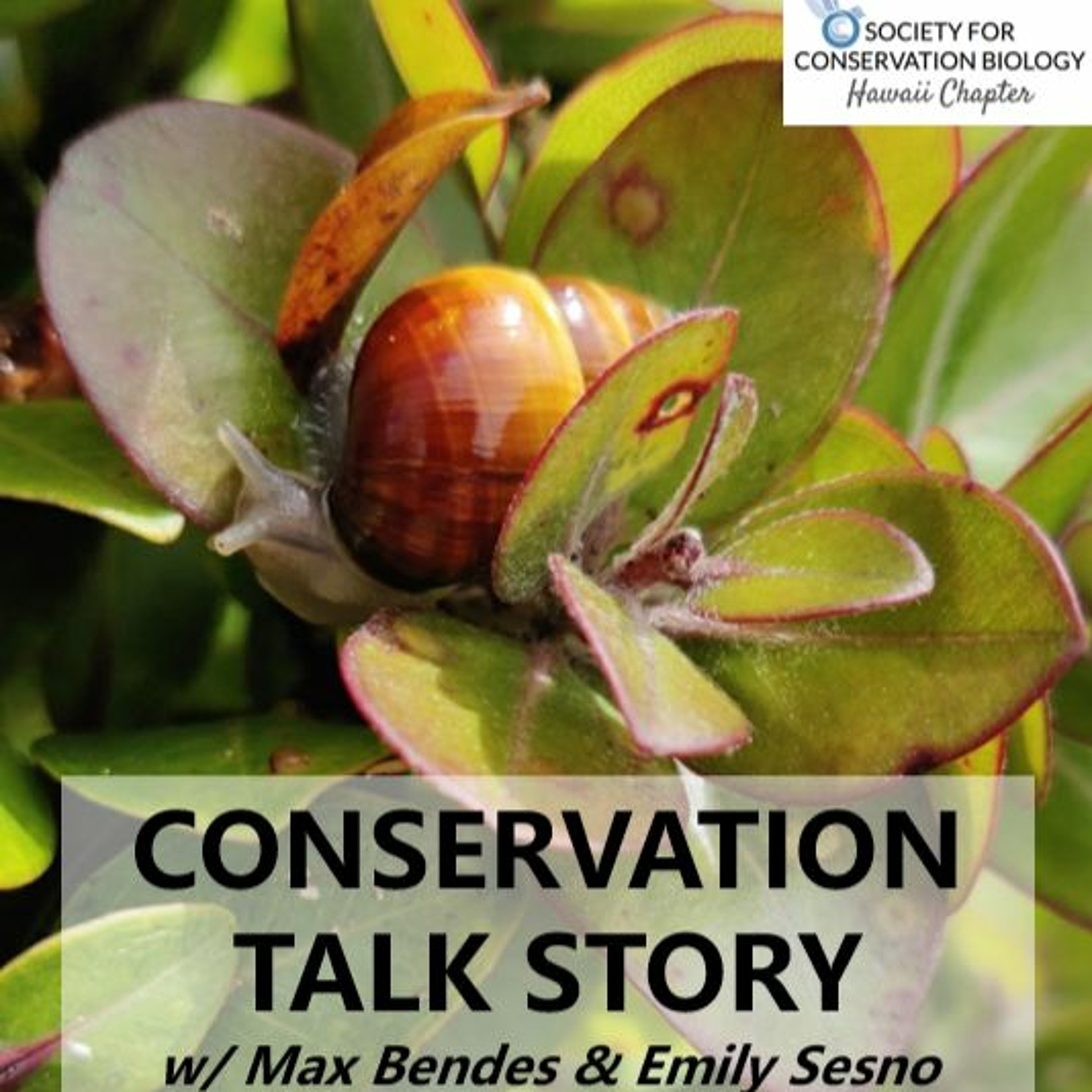 Conservation Talk Story ep. 2: Storytime! Mongooses and Coral Reefs episode artwork