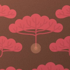 Geiom - Sans Veneer (POLBCE001)