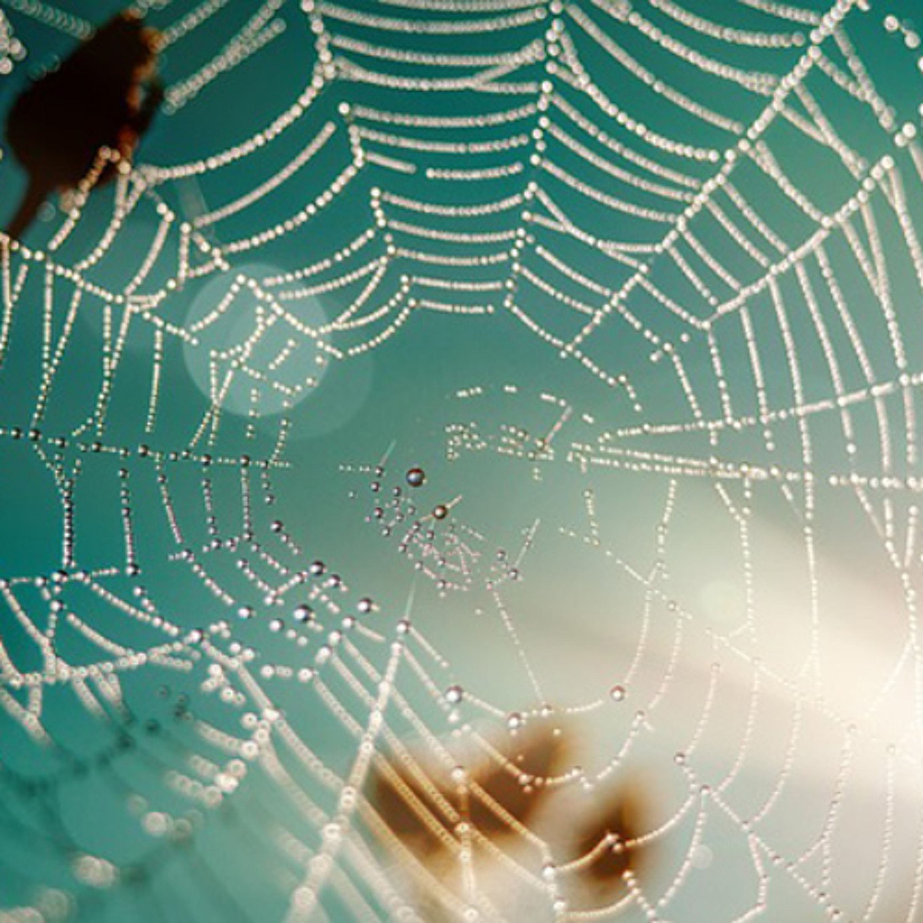Food for the soul - Becoming free from entanglement -  Mina Karawadra – 27/06/25 episode artwork