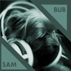 Demo 11.11.21