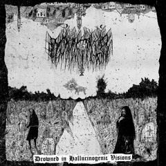 MNHMA - Drowned In Hallucinogenic Visions