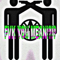 FVK YOU MEAN!?!?