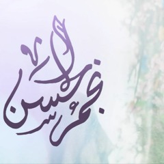 نجم الحسن | الرادود عيسى العيسى | مولد الإمام الحسن المجتبى ع