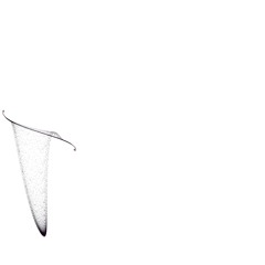 wave_O.2