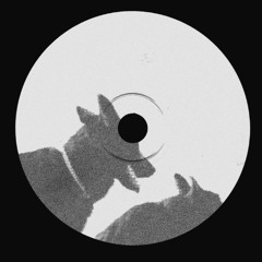 Cam Knox - Seeker (Original Mix)