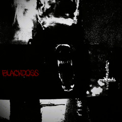 5. Blackdogs [Prod. Unholyfield]