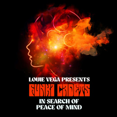 In Search of Peace of Mind (LV Shapes Mix)