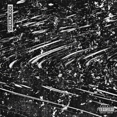 sierra kidd - down 4 whatever (leak) [2016]